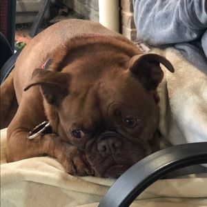 Meet your Posher, Mark